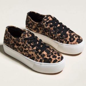 WORN ONCE Steve Madden sneakers